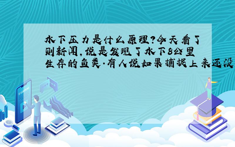 水下压力是什么原理?今天看了则新闻,说是发现了水下8公里生存的鱼类.有人说如果捕捉上来还没吃就爆掉了0.0小女子才疏学浅