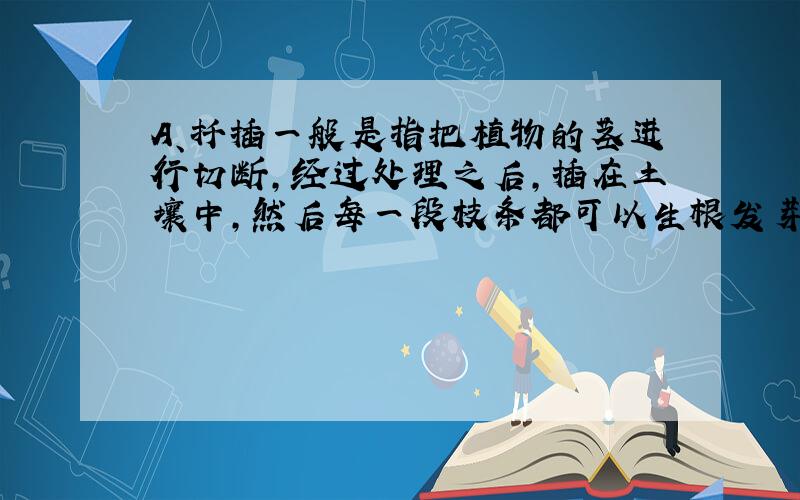 A、扦插一般是指把植物的茎进行切断，经过处理之后，插在土壤中，然后每一段枝条都可以生根发芽，长出一个新的植株．柳树、杨