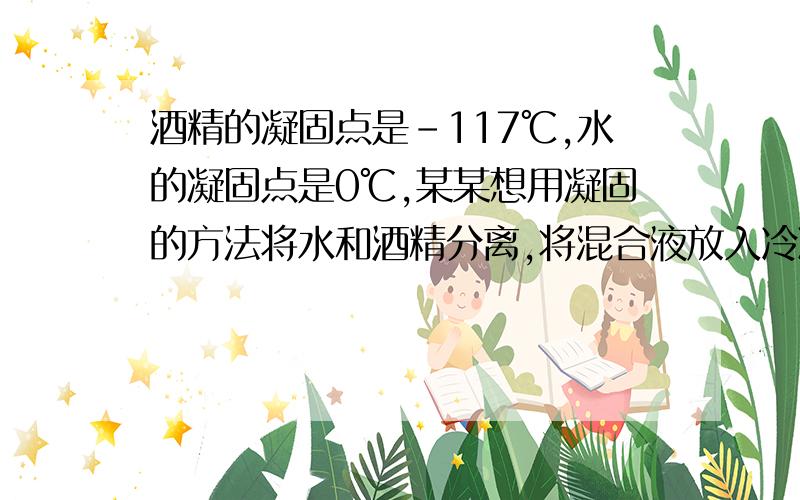 酒精的凝固点是-117℃,水的凝固点是0℃,某某想用凝固的方法将水和酒精分离,将混合液放入冷冻室(温度可达-5℃),经过