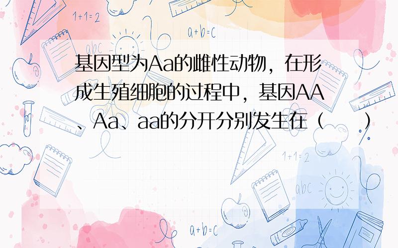 基因型为Aa的雌性动物，在形成生殖细胞的过程中，基因AA、Aa、aa的分开分别发生在（　　）