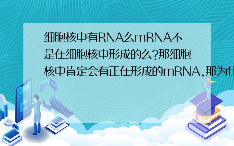 细胞核中有RNA么mRNA不是在细胞核中形成的么?那细胞核中肯定会有正在形成的mRNA,那为什么吡罗红不可以把细胞核染红