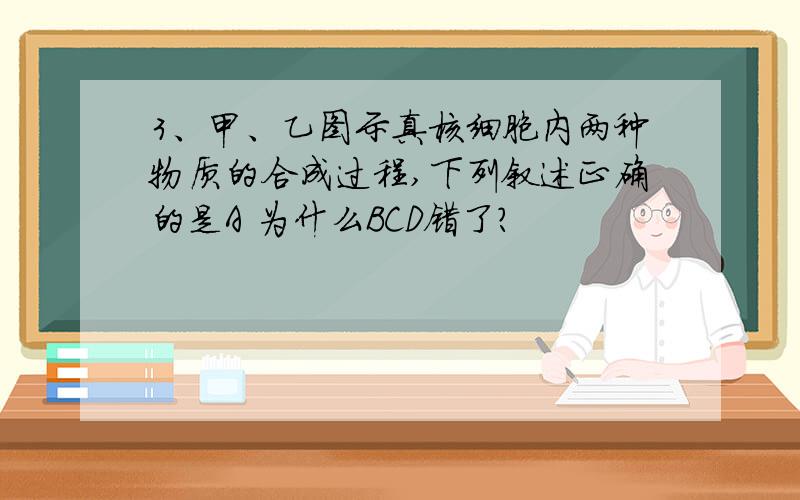 3、甲、乙图示真核细胞内两种物质的合成过程,下列叙述正确的是A 为什么BCD错了?