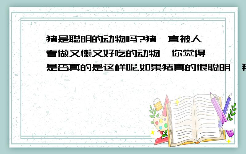 猪是聪明的动物吗?猪一直被人看做又懒又好吃的动物,你觉得是否真的是这样呢.如果猪真的很聪明,那又有什么动物比它聪明（不包