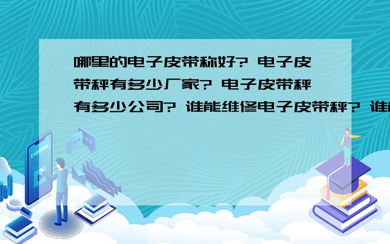 哪里的电子皮带称好? 电子皮带秤有多少厂家? 电子皮带秤有多少公司? 谁能维修电子皮带秤? 谁能维护电