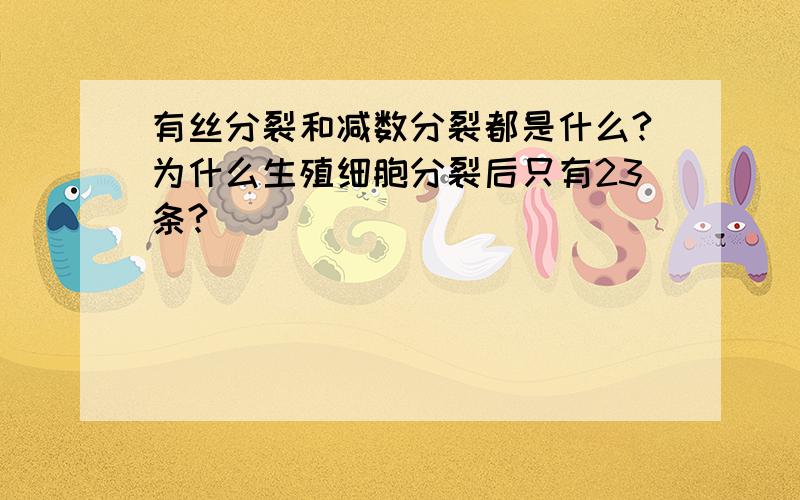 有丝分裂和减数分裂都是什么?为什么生殖细胞分裂后只有23条?