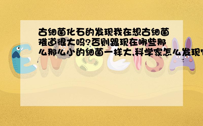 古细菌化石的发现我在想古细菌难道很大吗?否则跟现在哪些那么那么小的细菌一样大,科学家怎么发现它们呢?