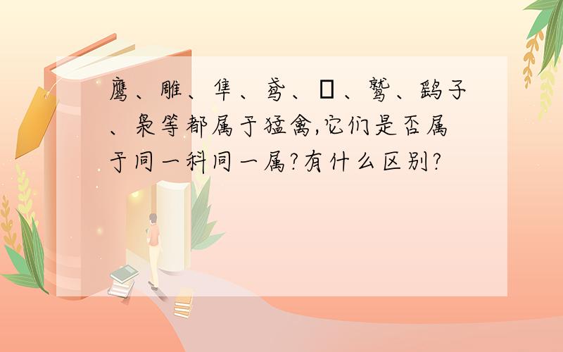 鹰、雕、隼、鸢、鵟、鹫、鹞子、枭等都属于猛禽,它们是否属于同一科同一属?有什么区别?