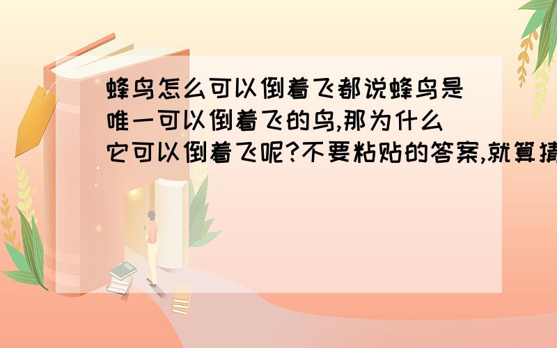 蜂鸟怎么可以倒着飞都说蜂鸟是唯一可以倒着飞的鸟,那为什么它可以倒着飞呢?不要粘贴的答案,就算猜猜也可以.