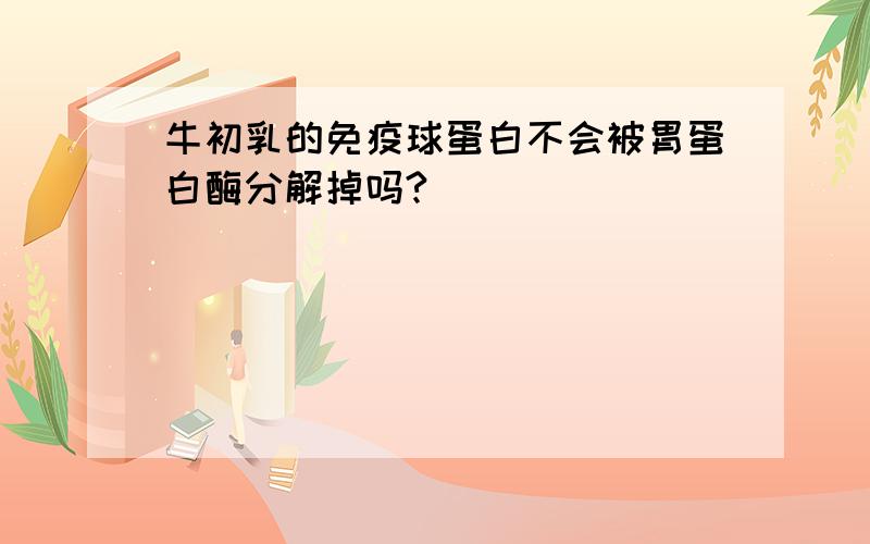 牛初乳的免疫球蛋白不会被胃蛋白酶分解掉吗?