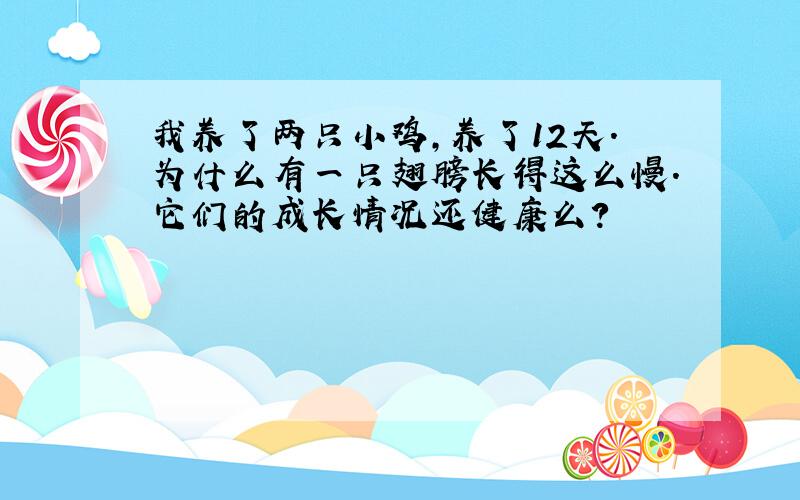 我养了两只小鸡,养了12天.为什么有一只翅膀长得这么慢.它们的成长情况还健康么?