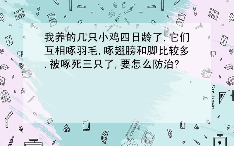 我养的几只小鸡四日龄了,它们互相啄羽毛,啄翅膀和脚比较多,被啄死三只了,要怎么防治?