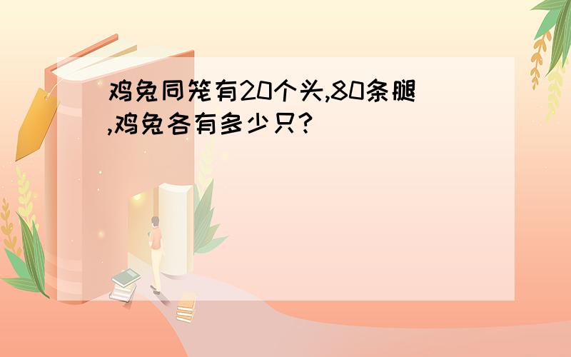 鸡兔同笼有20个头,80条腿,鸡兔各有多少只?