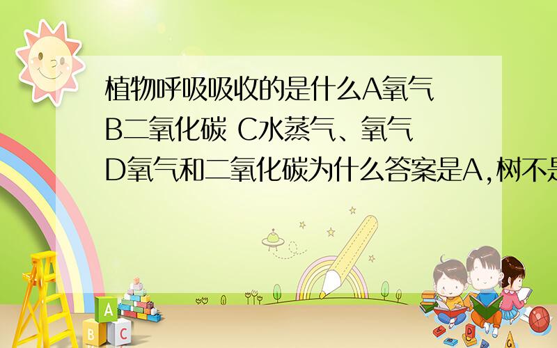 植物呼吸吸收的是什么A氧气 B二氧化碳 C水蒸气、氧气 D氧气和二氧化碳为什么答案是A,树不是植物吗?树不也吸收二氧化碳