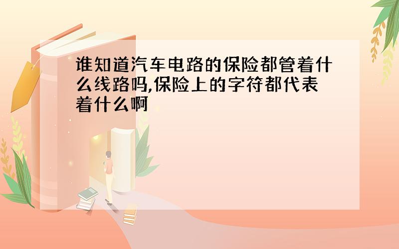 谁知道汽车电路的保险都管着什么线路吗,保险上的字符都代表着什么啊