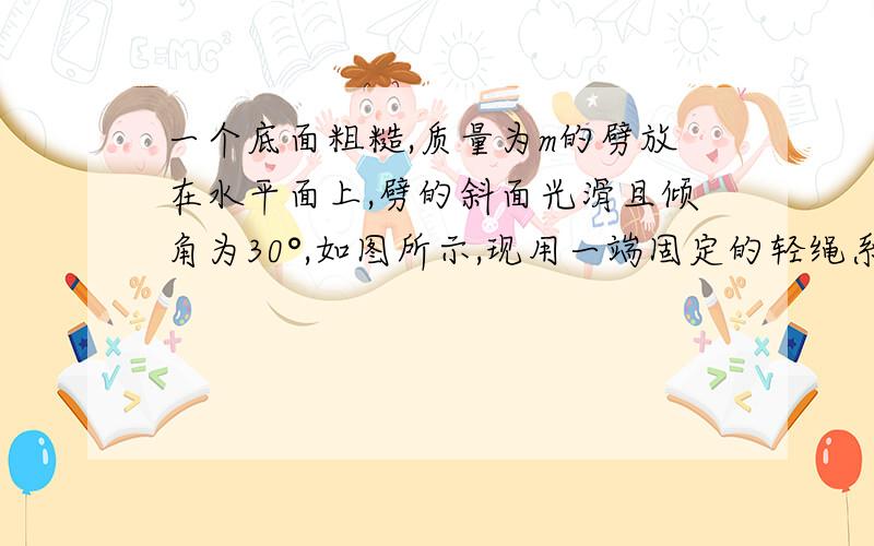 一个底面粗糙,质量为m的劈放在水平面上,劈的斜面光滑且倾角为30°,如图所示,现用一端固定的轻绳系一质量也为m的小球、绳