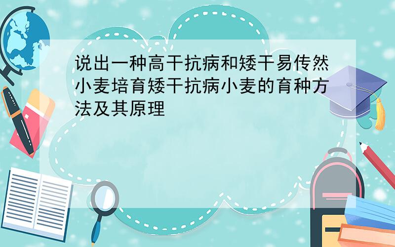 说出一种高干抗病和矮干易传然小麦培育矮干抗病小麦的育种方法及其原理