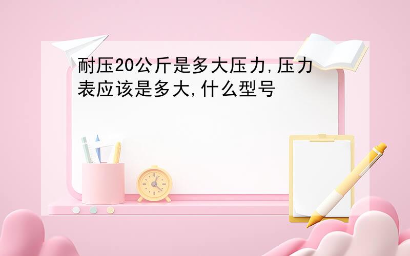 耐压20公斤是多大压力,压力表应该是多大,什么型号