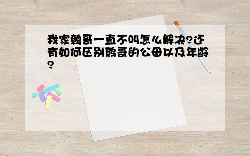 我家鹩哥一直不叫怎么解决?还有如何区别鹩哥的公母以及年龄?