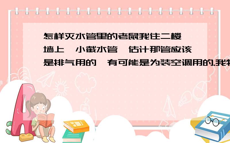 怎样灭水管里的老鼠我住二楼,墙上一小截水管,估计那管应该是排气用的,有可能是为装空调用的.我特地听了下,像是老鼠咬水管的