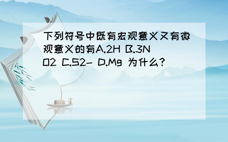 下列符号中既有宏观意义又有微观意义的有A.2H B.3NO2 C.S2- D.Mg 为什么?