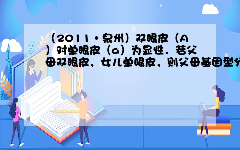 （2011•泉州）双眼皮（A）对单眼皮（a）为显性．若父母双眼皮，女儿单眼皮，则父母基因型分别是（　　）