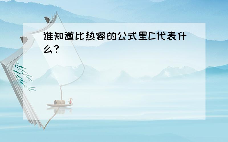 谁知道比热容的公式里C代表什么?