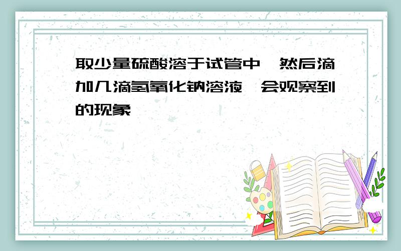 取少量硫酸溶于试管中,然后滴加几滴氢氧化钠溶液,会观察到的现象