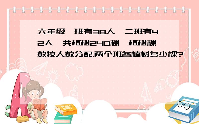 六年级一班有38人,二班有42人,共植树240棵,植树棵数按人数分配.两个班各植树多少棵?