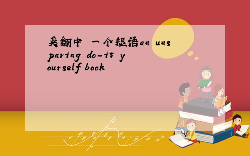 英翻中 一个短语an unsparing do-it yourself book