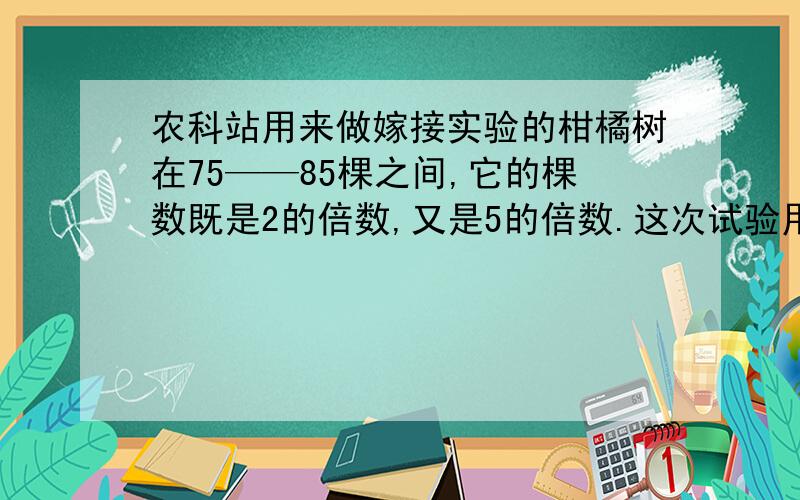 农科站用来做嫁接实验的柑橘树在75——85棵之间,它的棵数既是2的倍数,又是5的倍数.这次试验用的柑橘树