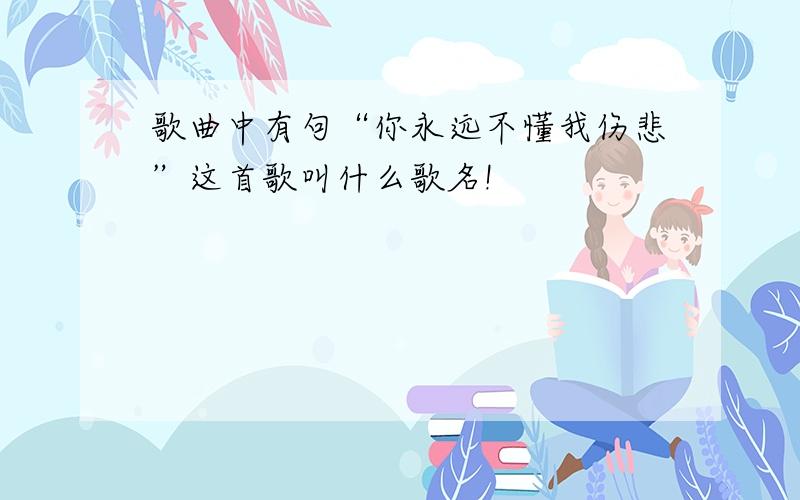 歌曲中有句“你永远不懂我伤悲”这首歌叫什么歌名!