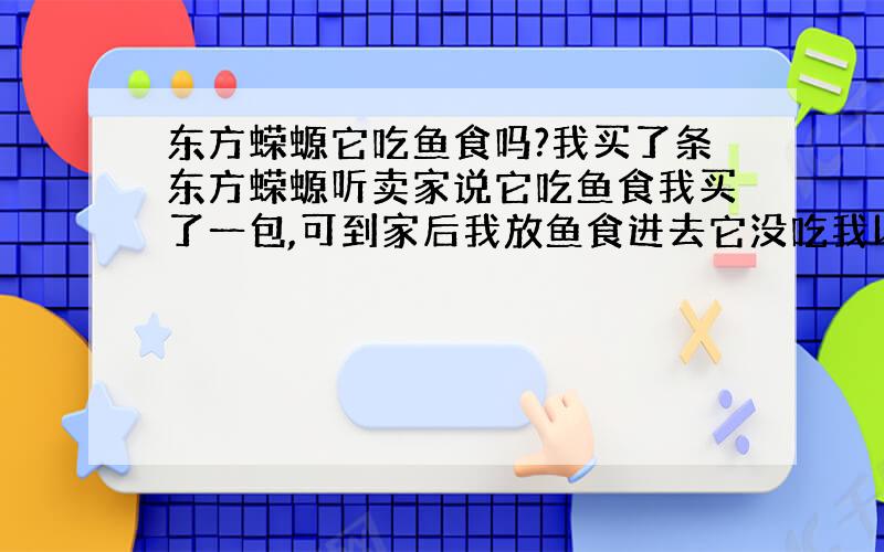 东方蝾螈它吃鱼食吗?我买了条东方蝾螈听卖家说它吃鱼食我买了一包,可到家后我放鱼食进去它没吃我以为它没饿可第二天来看还是没