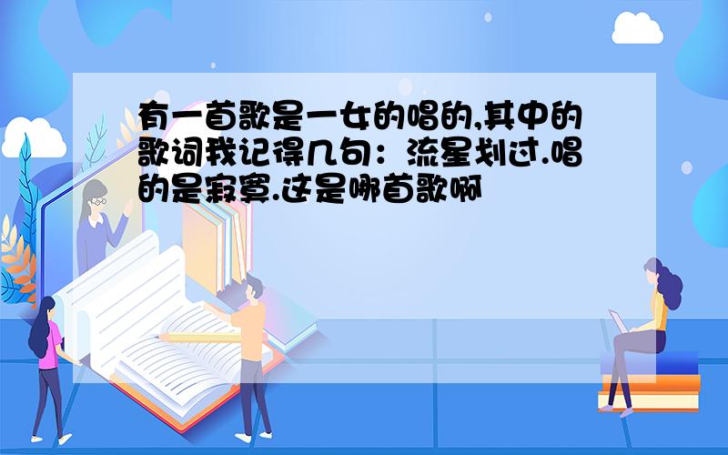 有一首歌是一女的唱的,其中的歌词我记得几句：流星划过.唱的是寂寞.这是哪首歌啊