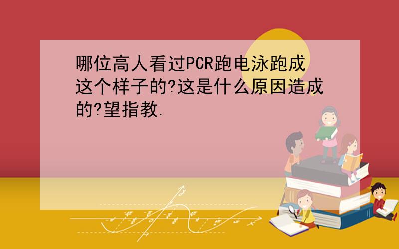 哪位高人看过PCR跑电泳跑成这个样子的?这是什么原因造成的?望指教.