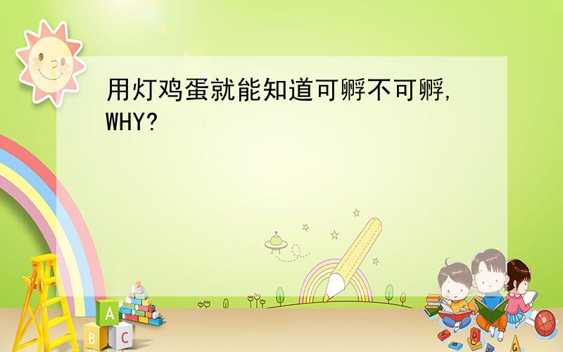 用灯鸡蛋就能知道可孵不可孵,WHY?