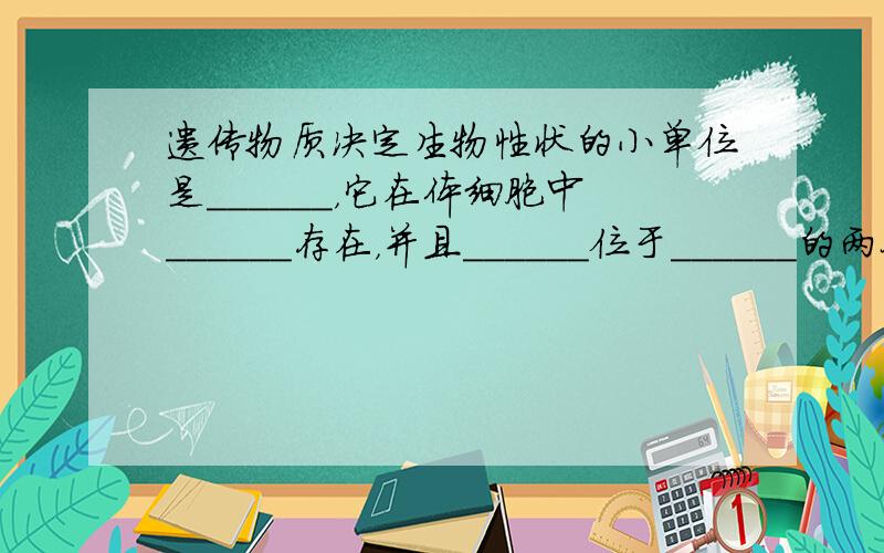 遗传物质决定生物性状的小单位是______，它在体细胞中______存在，并且______位于______的两条染色体上