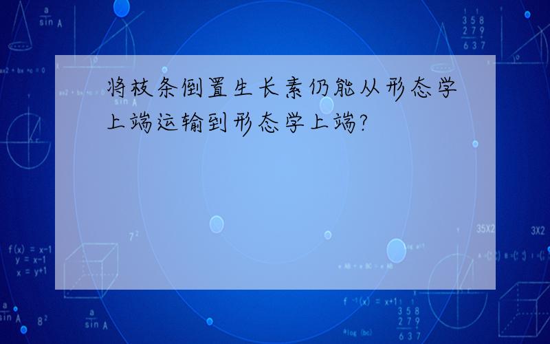 将枝条倒置生长素仍能从形态学上端运输到形态学上端?