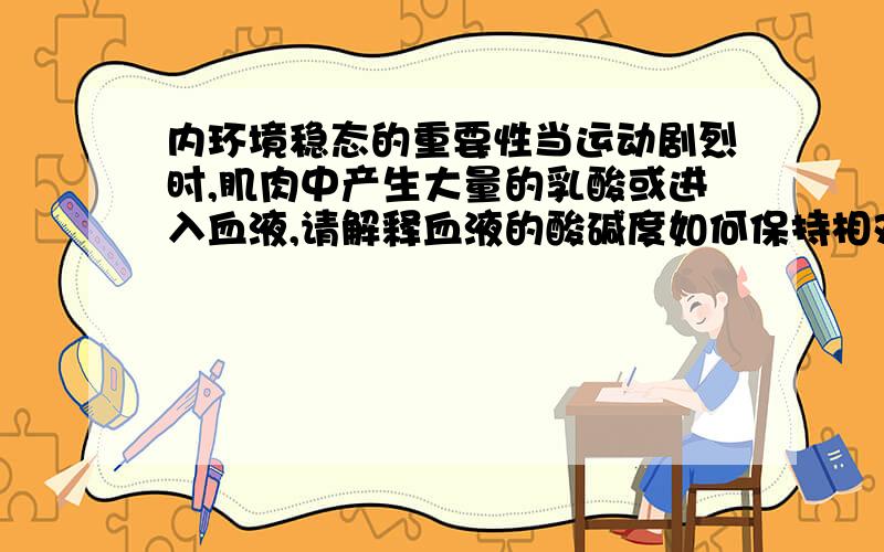 内环境稳态的重要性当运动剧烈时,肌肉中产生大量的乳酸或进入血液,请解释血液的酸碱度如何保持相对稳定.