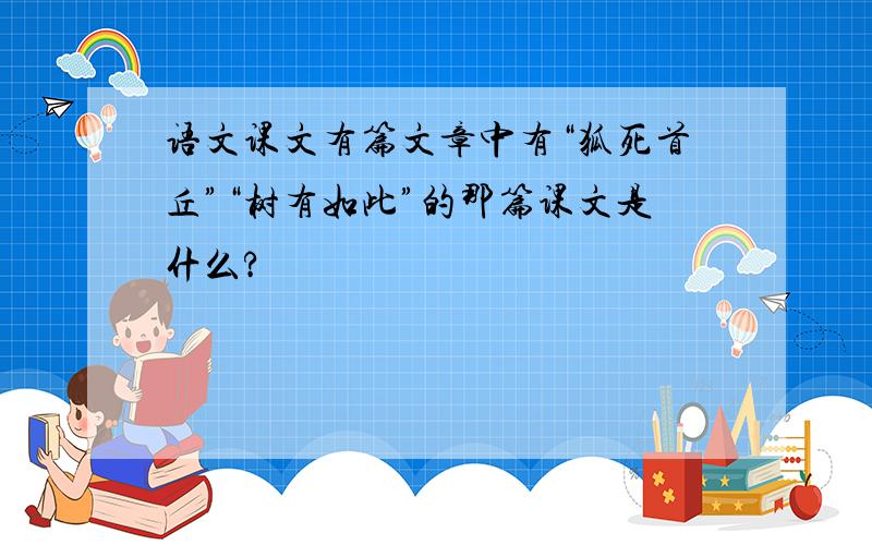 语文课文有篇文章中有“狐死首丘”“树有如此”的那篇课文是什么?