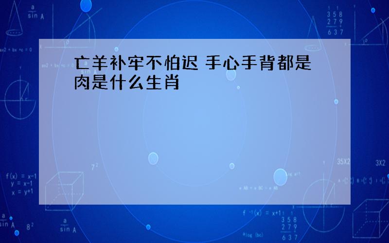 亡羊补牢不怕迟 手心手背都是肉是什么生肖