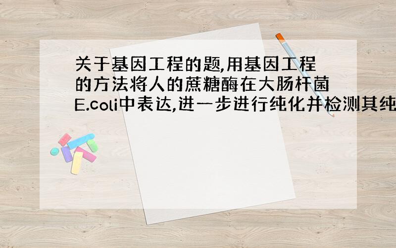 关于基因工程的题,用基因工程的方法将人的蔗糖酶在大肠杆菌E.coli中表达,进一步进行纯化并检测其纯度和活性,请设计一系