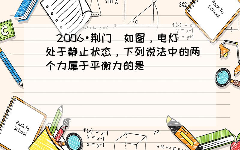 （2006•荆门）如图，电灯处于静止状态，下列说法中的两个力属于平衡力的是（　　）