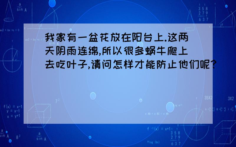 我家有一盆花放在阳台上.这两天阴雨连绵,所以很多蜗牛爬上去吃叶子,请问怎样才能防止他们呢?