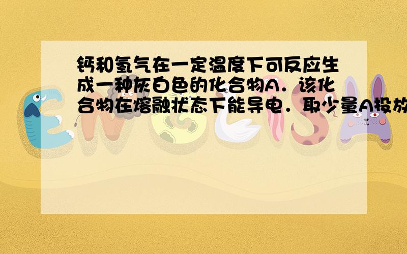 钙和氢气在一定温度下可反应生成一种灰白色的化合物A．该化合物在熔融状态下能导电．取少量A投放水中剧烈反应放出一种无色无味