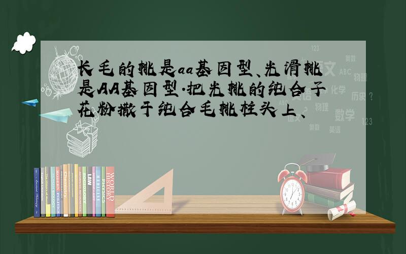 长毛的桃是aa基因型、光滑桃是AA基因型.把光桃的纯合子花粉撒于纯合毛桃柱头上、