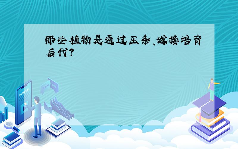 那些植物是通过压条、嫁接培育后代?