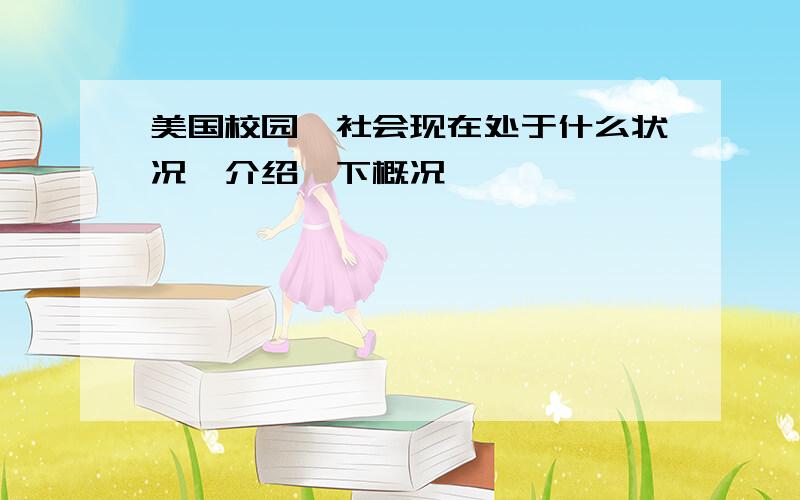 美国校园、社会现在处于什么状况,介绍一下概况