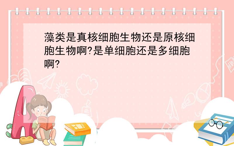 藻类是真核细胞生物还是原核细胞生物啊?是单细胞还是多细胞啊?