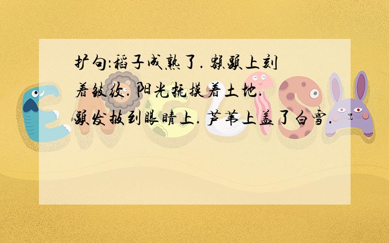 扩句：稻子成熟了． 额头上刻着皱纹． 阳光抚摸着土地． 头发披到眼睛上． 芦苇上盖了白雪．