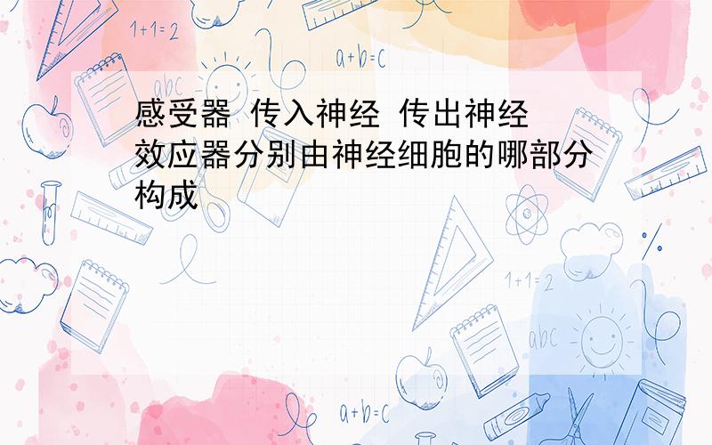 感受器 传入神经 传出神经 效应器分别由神经细胞的哪部分构成